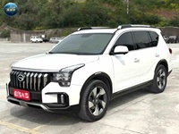 Voiture chinoise 20220GAC GS4 PLUS 270T automatique édition Galaxy