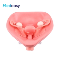 Modelo de Entrenamiento Pélvico Medeasy Factory para Simulador de Cirugía Ginecológica Laparoscópica con Entorno Pélvico de Hinchazón de Fibroides