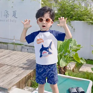 Cartoon Shark Kids Boys Swimwear Baby Teen Toddler Children Swimsuit 2024 Wholesale Beachwear Beach Suit 2 Pieces OEM Custom