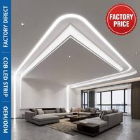 Bande LED COB à haute densité, directement de l'usine, 5M-23M, blanc froid/chaud, vert, bleu, flexible, USB, IP65, aluminium, découpable, pour intérieur