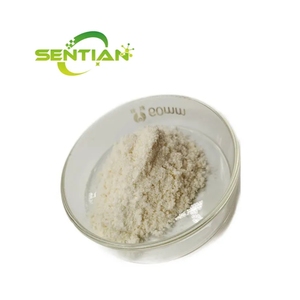 Nattokinase Natto Extracto Suplementos a granel 20000fu 5000fu Polvo orgánico de Nattokinase - Product Image 3