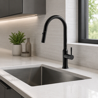 Keran Dapur Komersial OEM Custom Pabrik Langsung Grosir, Keran Hotel Satu Lubang Stainless Steel Bebas Timbal, Pemasangan di Dek