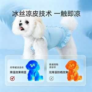 Gilet rafraîchissant pour animaux de compagnie, bleu, respirant, été, pour chats et petits chiens - Product Image 4