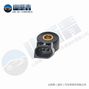 Capteur de cliquetis Buick OE 12605738 12623730 12570125 12623095 Pièce de rechange SJQ-4049 - Product Image 3