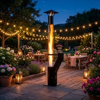 Poêle à granulés de bois pour camping extérieur, foyer, chauffage de patio, réchaud fusée avec kit torche et tube en verre pour feu