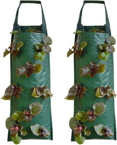 Sacs de culture de fraises de 3 gallons en gros d'usine, 10 pièces, en PE et feutre, sacs de culture pour plantes - Product Image 5