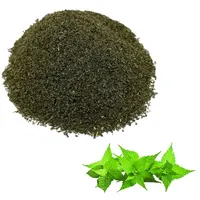 Опт ISO листья крапивы зеленый вырез крапивы листовой чай TBC