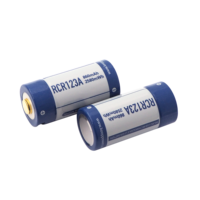 Keeppower P1634U1 RCR123A Micro USB 16340 3.0V 860mAh Protedted Batterie Lithium Rechargeable en paire