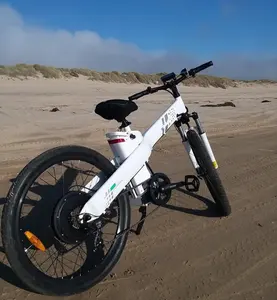 Seagull26 48v 2023 w vélo électrique à grande vitesse, nouvel arrivage 1000 vélo électrique à prix compétitif
