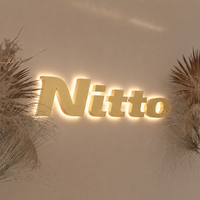Enseigne lumineuse LED 3D personnalisée rapide en métal brossé, lettres lumineuses murales pour salon de beauté, SPA, clinique, studio
