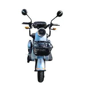 Scooter électrique 3 roues de mobilité pour adultes pas cher dis 60v 1000w motos à trois roues avec batterie au plomb EEC/COC