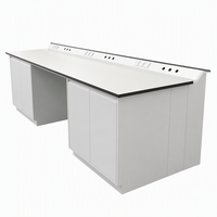 Banc de travail en acier pour laboratoire avec armoires de rangement pour produits chimiques, pour hôpitaux, écoles et ateliers