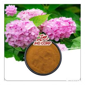 미국/EU 창고 도매 식물 추출물 4:1 10:1 식품 등급 수국 추출물 분말 - Product Image 1