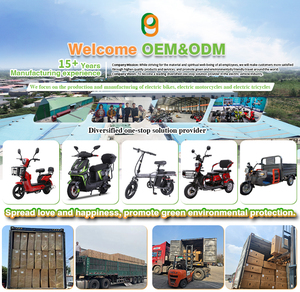 Paige 48V 12Ah 350W Leistungsstärkstes E-Bike Umbausatz-Kit für Herren E-Bikes mit 2 Rädern – Ebox 2.0 - Product Image 6