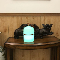 Lampe décorative LED portable moderne à piles, télécommandée, avec abat-jour en métal et corps en plastique, 16 couleurs changeantes, produits rotomoulés, vente chaude
