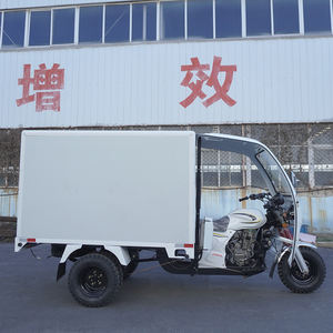 Motocyclette à essence à 3 roues de haute qualité China YaoLong 150cc 200cc, tricycle cargo agricole pour adultes - Product Image 3