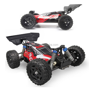 Dingo 1655 1:16 scala elettrico Brushless RC Off Road Buggy 2.4G 4WD veicolo da corsa sportivo impermeabile - Product Image 1