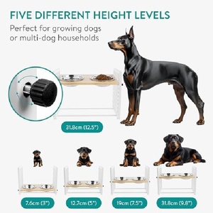 Çift Katlı Ekolojik Dostu Kedi Mamalıkları Yükseltilmiş Kedi Mama Kabı Seti Bambu Standlı İç Mekan Kedileri Küçük Köpekler Evcil Hayvan Mama ve Su Kapları - Product Image 5