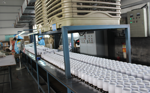 Trắng Đồng Bằng Cà Phê Thăng Hoa <span class=keywords><strong>Mug</strong></span> Ngọc Trai <span class=keywords><strong>Mug</strong></span> Tùy Chỉnh AAA Cup Gốm Bán Buôn 11Oz Cốc Cà Phê Thăng Hoa Blanks Mugs Trắng Box - Product Image 6