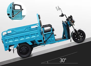 Fabricantes que venden triciclo eléctrico de tres ruedas para adultos para transporte de materiales de construcción transporte de carga - Product Image 4