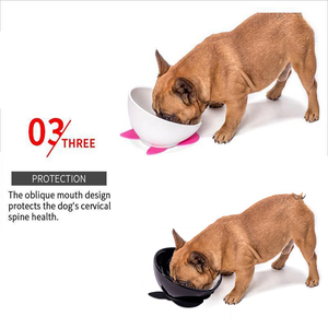 Ciotola Ecologica in Ceramica per Cani e Gatti con Tappetino Antiscivolo per <span class=keywords><strong>Bulldog</strong></span> Francesi - Product Image 4