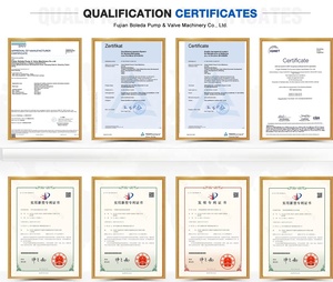 Pompa Centrifuga Elettrica ad Alta Pressione Boleda Fujian Nanping, Antiacido, a Zero Perdite, in Acciaio Inossidabile, Certificata ISO9001 - Product Image 6