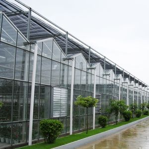 <span class=keywords><strong>Grande</strong></span> serre agricole multi-chapelles en acier galvanisé avec couverture en verre pour la culture de légumes - Product Image 3
