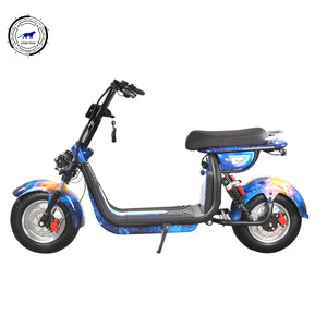10 년 수출 성인 500 와트 전기 오토바이/지방 타이어 전기 오토바이 EEC 승인 Citycoco - Product Image 2