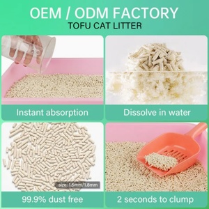 Arena para Gatos de Tofu con Aroma a Té <span class=keywords><strong>Verde</strong></span>, Marca Privada OEM, para Hogares con Múltiples Gatos - Product Image 4