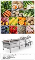 Hoogproductieve roestvrijstalen voedselveilige volautomatische groente- en fruitbelwasmachine met hoog rendement industrieel motorblok
