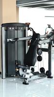 Équipement de gym professionnel haut de gamme, vente en gros directe d'usine, appareil rotatif pour le tronc