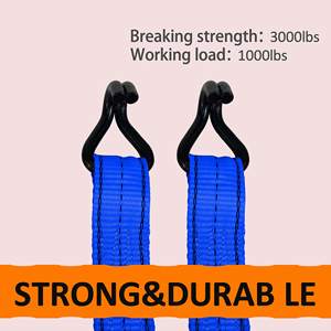 Correas de Amarre de Poliéster PP de Alta Resistencia con Catraca de 2 Pulgadas, 10m 5t, con Ganchos en J, Tamaño Personalizado, Precio de Fábrica - Product Image 5