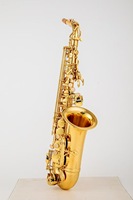 Alto Saxophone Gold Lacquered Woodwind Instrument with EB Tone Brass Surface