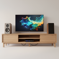 Samtronic 5.25 pouces passif 2 voies HiFi haut-parleurs d'étagère en bois avec ruban Tweeter A525