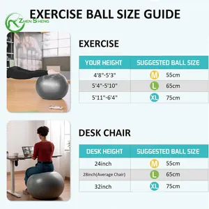 Zhensheng Customized Size Anti Burst Balance Exercise Heavy PVC Yoga Ball