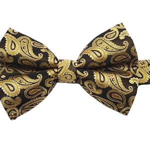Noeud papillon à motif paisley tendance à bas prix, vente chaude, OEM/ODM, 100% polyester, noeud papillon à nouer soi-même pour hommes, vente en gros - Product Image 5
