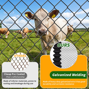 Hot Selling PVC Coated Chain Link <b>Mesh</b> Roll Anti-Rust <b>Wire</b> Barrier for Garden Yard Isolation - Product Image 3