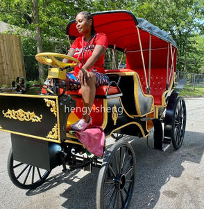 Calèche de mariage Calèche touristique de plein air Calèche royale Visite touristique Calèche à cheval - Product Image 4