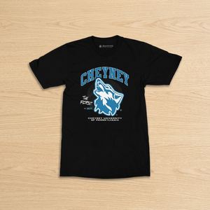 เสื้อยืดมหาวิทยาลัยเชนีย์ คัสตอม คอลเลจ ยูนิเซ็กซ์ ผ้าฝ้าย 100% พิมพ์ลายสกรีน สไตล์สตรีท โลโก้สั่งทำได้ เสื้อผ้า OEM - Product Image 3
