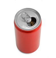 Boîtes en aluminium vierges 250/355/500 ml avec couvercle facile à ouvrir pour la vodka, le whisky, le vin, les boissons gazeuses, les boissons, le thé HONGBO respectueuses de l'environnement