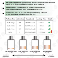 Vente en gros d'eau de parfum pour hommes 30ml 50ml 100ml, notes boisées océaniques naturelles, parfum longue durée, spray, Cologne pour hommes