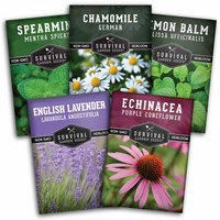 Sachet de graines de thé aux herbes biologiques OEM d'usine avec étiquette personnalisée et code-barres pour sachet de graines d'herbes de marque