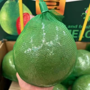 High Quality <strong>Eco</strong> <strong>Friendly</strong> Packaging <strong>Nets</strong> Fruit <strong>Net</strong> Packaging - Product Image 4