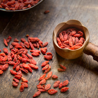 Fabrieksleverancier Wilde Natuurlijke Goji Sap Poeder Chinese Wolfberry Kruidenextract Lycium Barbarum Goji Bes Poeder Top Extract