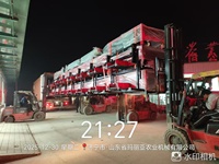 Knoflook sorteermachine groente- en fruitsorteermachine sorteermachine voor massaproductie sorteerapparaat voedingsmiddelenmachines