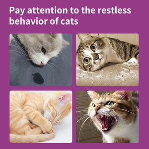 Spray apaisant pour chats Medrims, spray aux phéromones pour animaux de compagnie, soulagement du stress et de l'anxiété pour les chats, prévient les griffures et les marques d'urine - Product Image 4