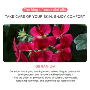 Aceite Esencial de <span class=keywords><strong>Geranio</strong></span> Compuesto OEM, Aromaterapia, Masaje, Hidratante Nutritivo para Relajación Corporal Completa, Reparación del Cabello y la Piel - Product Image 3