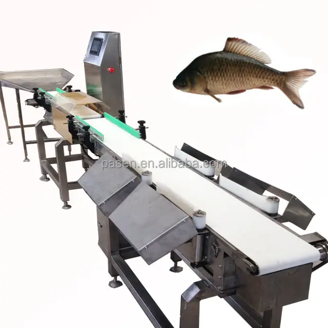 Machine de tri électrique de poids de crustacés machine de pesage d'ormeau machine de classement de tri de fruits de mer