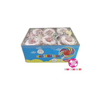 Sucette dure 2-en-1 en gros, halal, saveur fruitée, mini guimauve torsadée, bonbon au coton