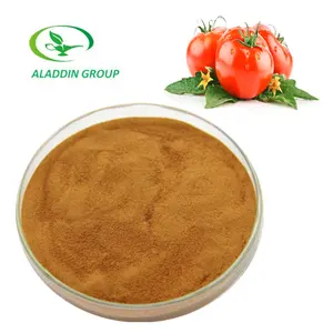 GMP hot sale high quality spray dried tomato powder extract